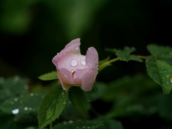 Bain de soleil : comment faire le bon choix ?