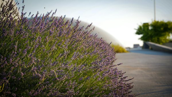 Fabrication sur mesure de menuiseries à josselin : découvrez !