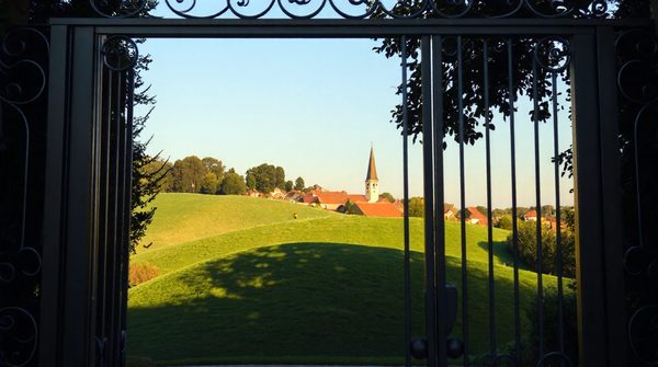 Pourquoi choisir des portails en aluminium fabriqués en france ?