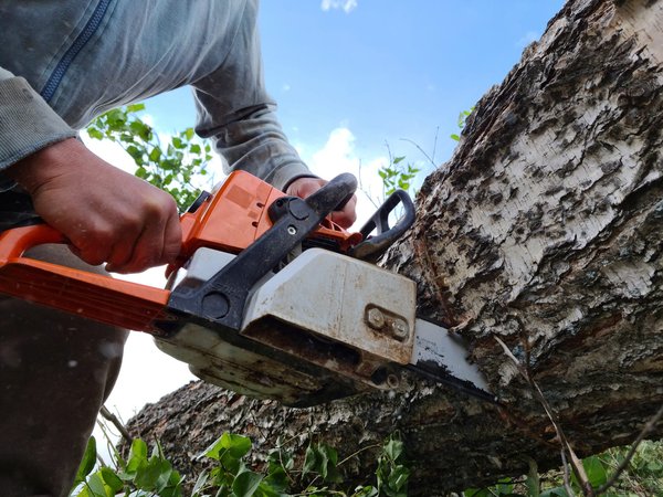 Où trouver une chaine tronçonneuse de bonne qualité ?