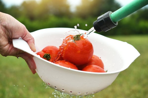 Les tuyaux alimentaires : clés pour une sécurité irréprochable